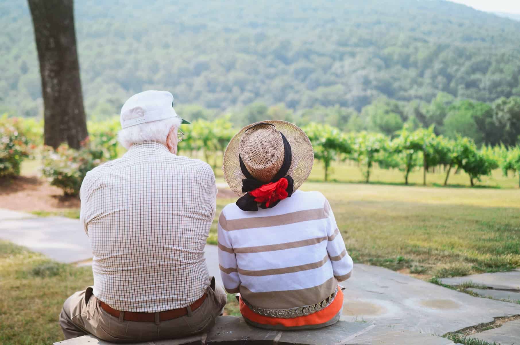 elderly couple sitting on a stone bench looking at vineyard