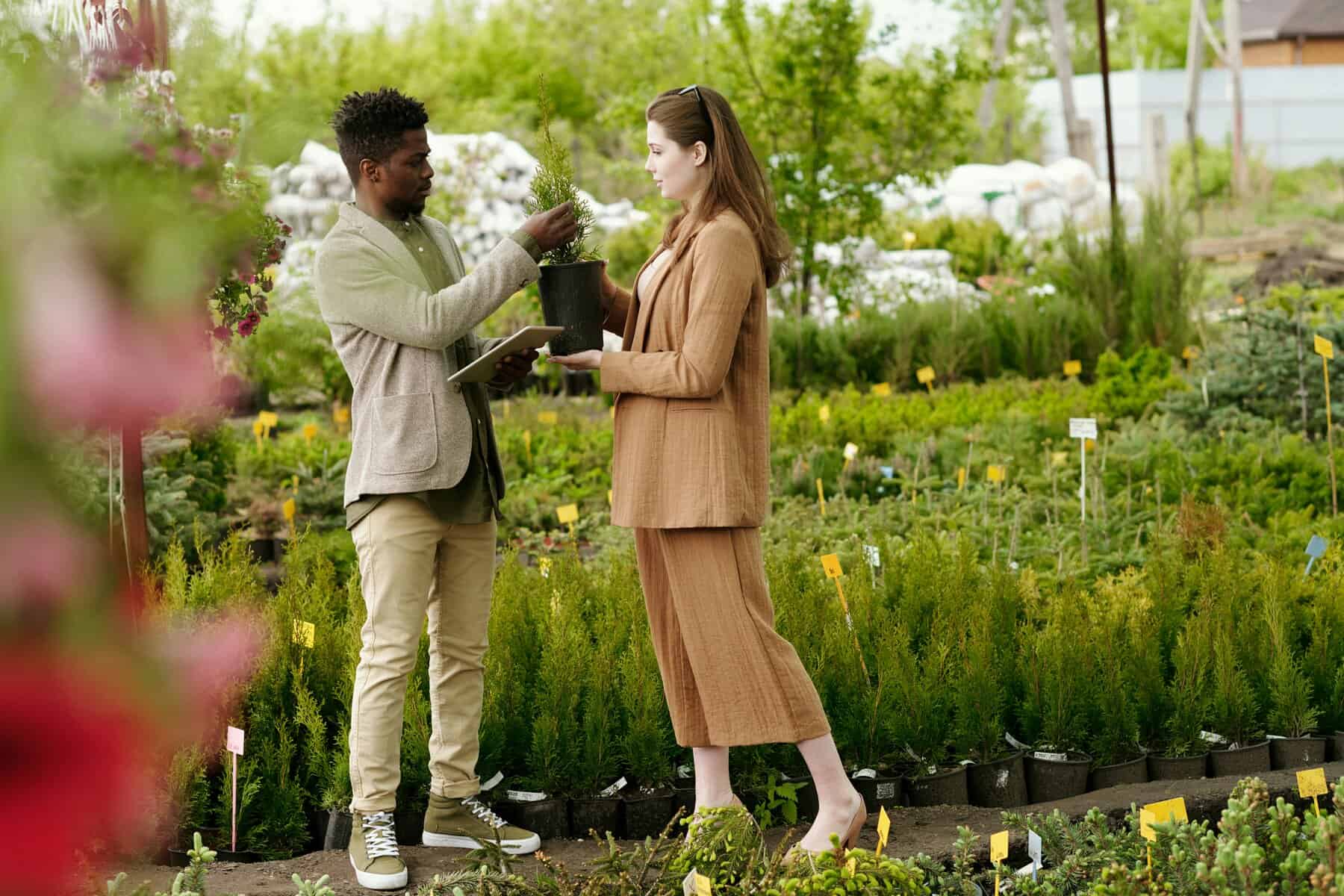 Man and woman at plant nursery looking at a plant