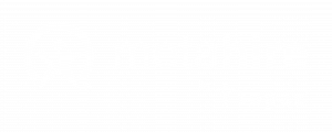 Metahire-Hiring-Training Metahire-Hiring-Training